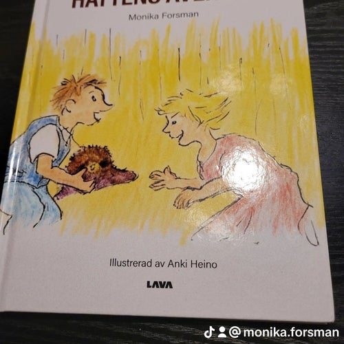 Den Bruna Hattens Äventyr av Monika Forsman