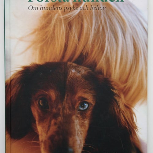 Förstå hunden: om hundens psyke och behov - Elsa Flint
