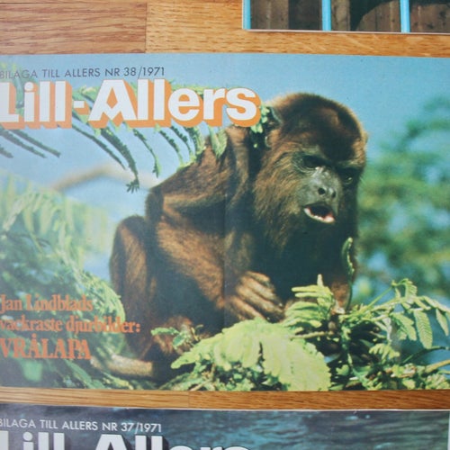 Lill-Allers bilagan veckotidning 1971 nr 38