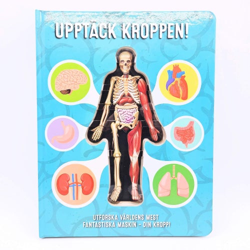 Upptäck kroppen! - Luann Colombo
