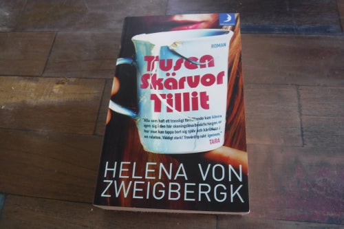 Tusen skärvor tillit författare Helena Von Zweigbergk