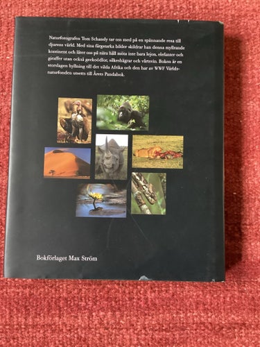 Det Vilda Afrika, text och foto Tom Schandy