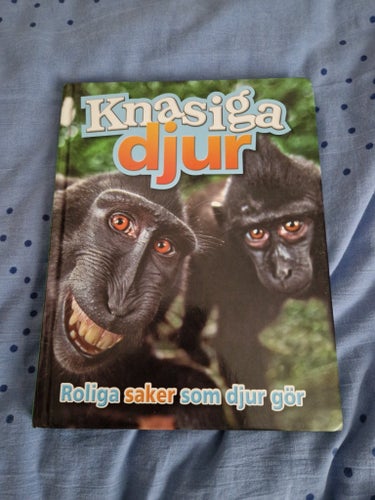 Knasiga djur : Roliga saker som djur gör