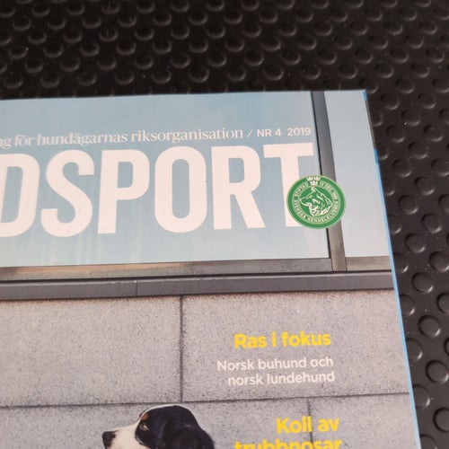 Hundsport Nr 4 2019