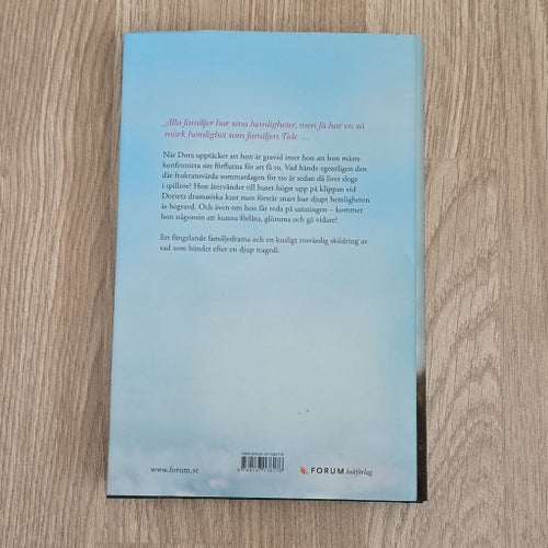 Systrarna Tides sista sommar av Hannah Richell