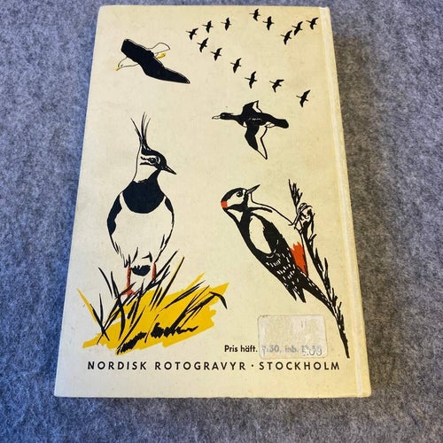 Björn Ursing - Fåglar - En fälthandbok
