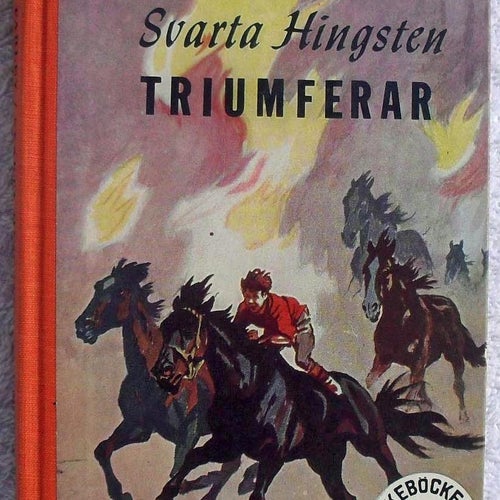 Svarta hingsten triumferar
