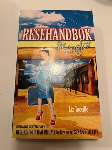 Resehandbok för singlar av Liz Tuccillo