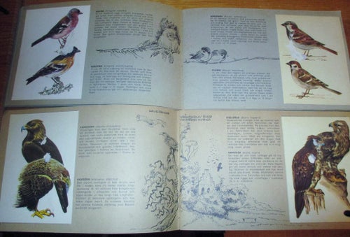 Fåglar 66 + 67,  kompletta album med samlarbilder