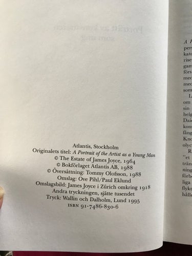 PORTRÄTT AV KONSTNÄREN SOM UNG James Joyce 1995