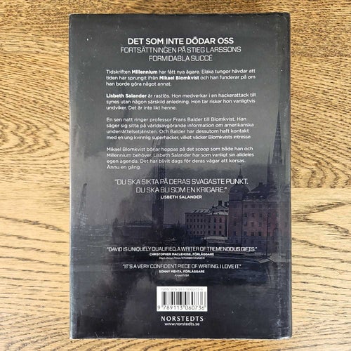 Det som inte dödar oss - David Lagercrantz