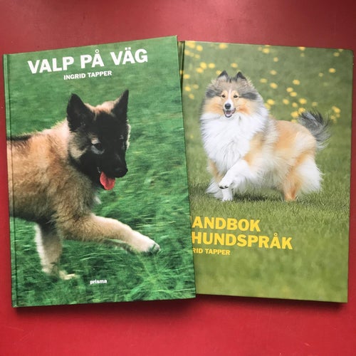 VALP PÅ VÄG + HANDBOK I HUNDSPRÅK Ingrid Tapper 2004-2005
