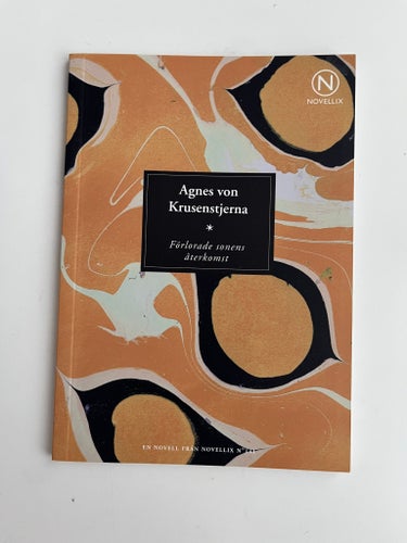 Förlorade sonens återkomst av Agnes von Krusenstjerna, Novellix