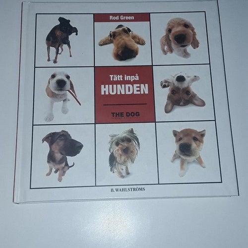 Tätt inpå hunden - Rod Green