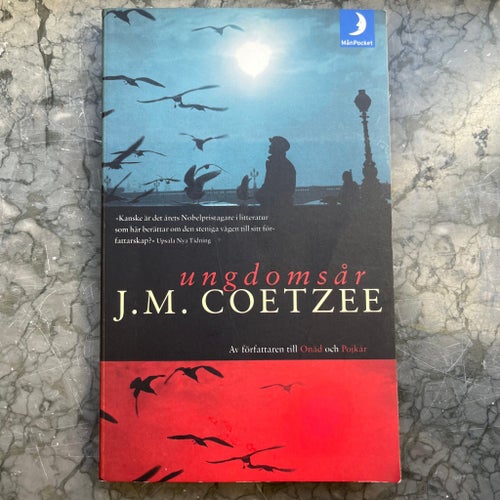 Ungdomsår av J.M. Coetzee, 2004