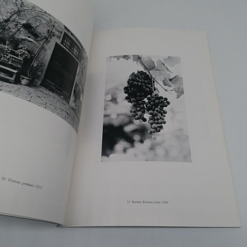 Thomas Alcorn - Photographs