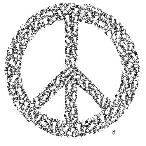 Print - Peace Cows - A3
