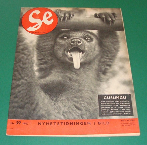 SE nr 39 1947 - Cusungo, Värtahamnen, Skansbron, golf m.m.