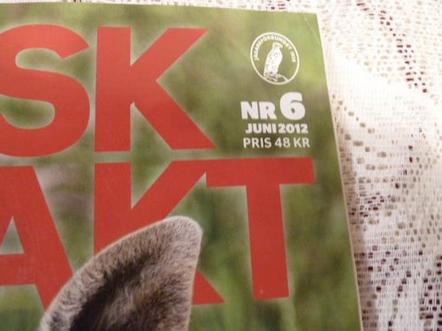 SVENSK JAKT 6, 2012,