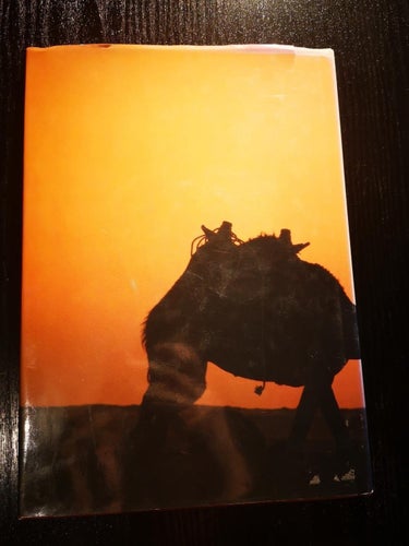 The Arabian Desert - A Chronicle of Contrast