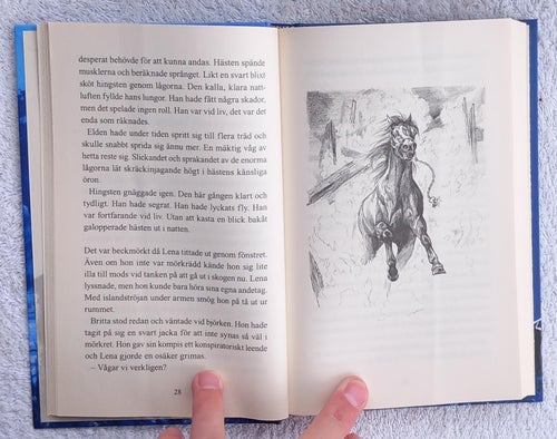 Månskenshästen (ungdomsbok, hästar)