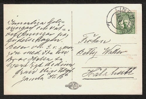 Bondetåget 1914, Stockholm. Dalkarlarna tåga till K.Slottet.