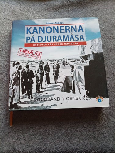 Kanonerna på Djuråmåsa av Johan André,