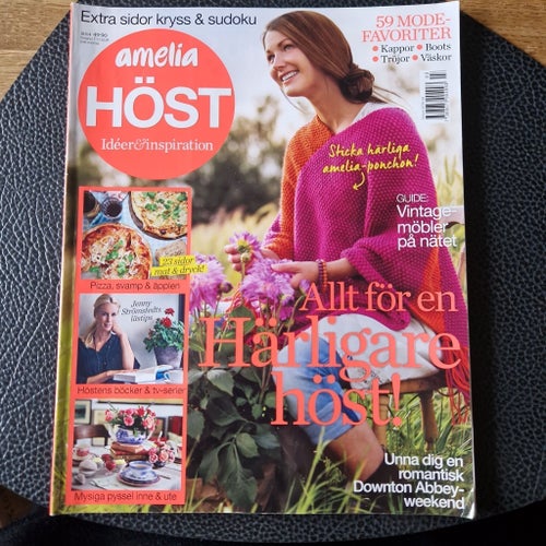 Amelia Höst 2014. Innehåller ett mönster på stickad poncho