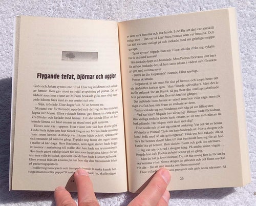 Skenande fantasti (ungdomsbok, hästar)