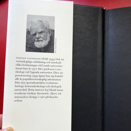 FLUGSNAPPARNAS VITA FLÄCK forskningsnytt från djurens liv... Staffan Ulfstrand