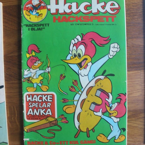HACKE HACKSPETT 1973 NR 17