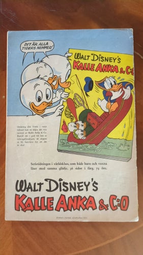 Walt Disney's Serie Musse Pigg och Den Brakige Svarte Petter, 1955