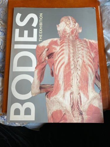 BODIES THE EXHIBITION, för den anatomi intresserade 2006