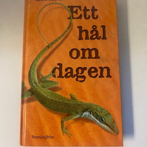 Ett hål om dagen - Louis Sachar - 2000