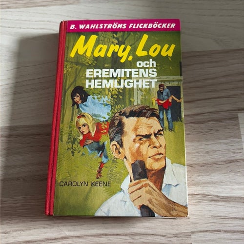 Mary, Lou och eremitens hemlighet av Carolyn Keene