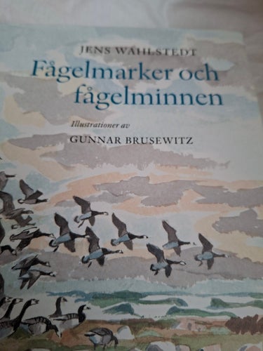 Fågelmarker och fågelminnen av Jens Wahlstedt, 2003