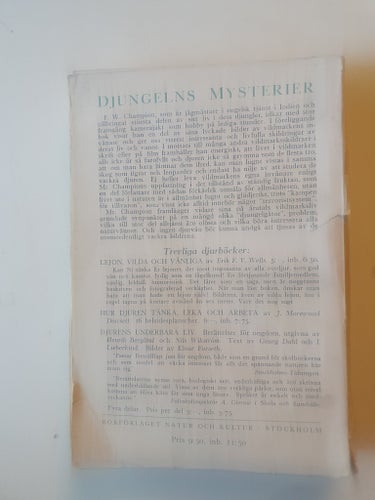 Djungelns mysterier: En djungelälskares upplevelser
