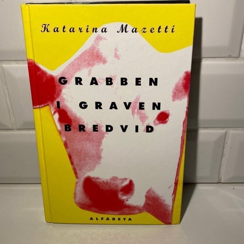 Bok : Grabben i graven bredvid, Katarina Mazetti