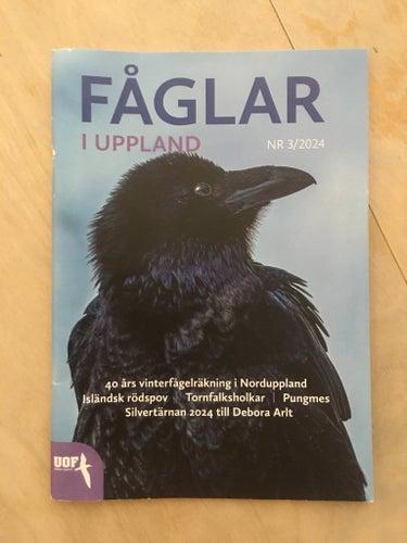 Fåglar i Uppland NR 3/2024