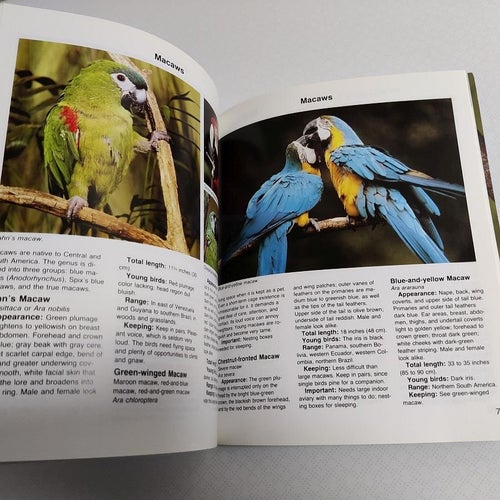 Parrots - A Complete Pet Owner's Manual (hft) papegoja papegojor