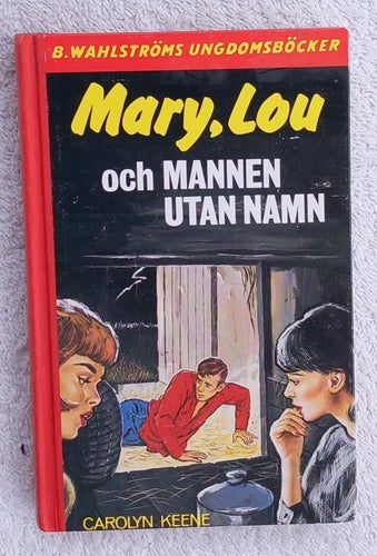 Mary, Lou och mannen utan namn