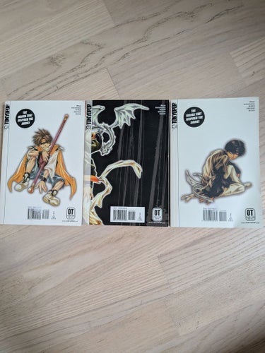 Saiyuki Reload av Kazuya Minekura, 2004