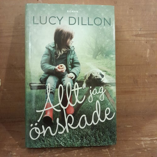 Allt jag önskade av Lucy Dillon