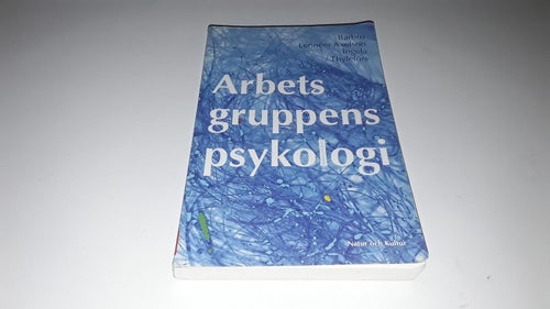 Arbetsgruppens psykologi