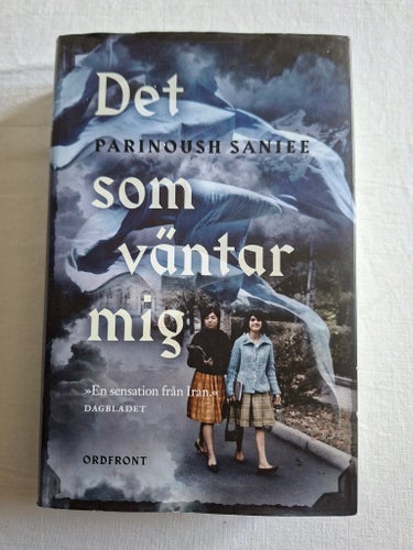 Det som väntar mig - Parinoush Saniee