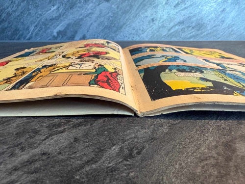 Illustrerade Klassiker Nr 73