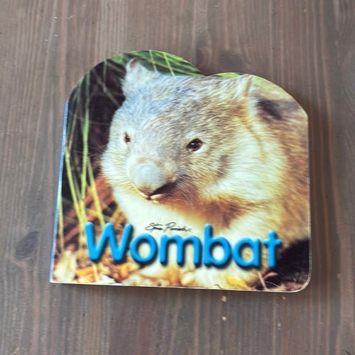 Wombat av Steve Parish