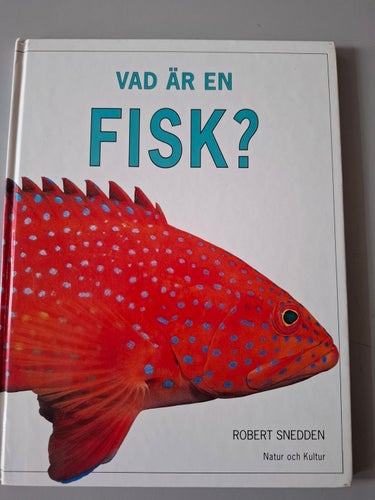 Vad är en fisk?