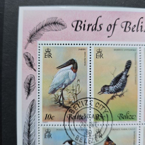 Belize 1980.Block.Stämplat