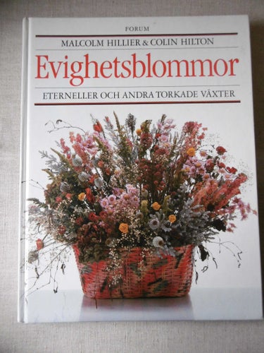 Evighetsblommor, eterneller och torkade växter